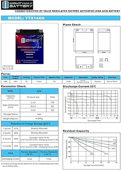 MKYページ Amazon.com: Mighty Max Battery YTX14AH 12V 12AH Battery for